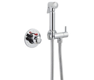 Douche Set with Temperature Control